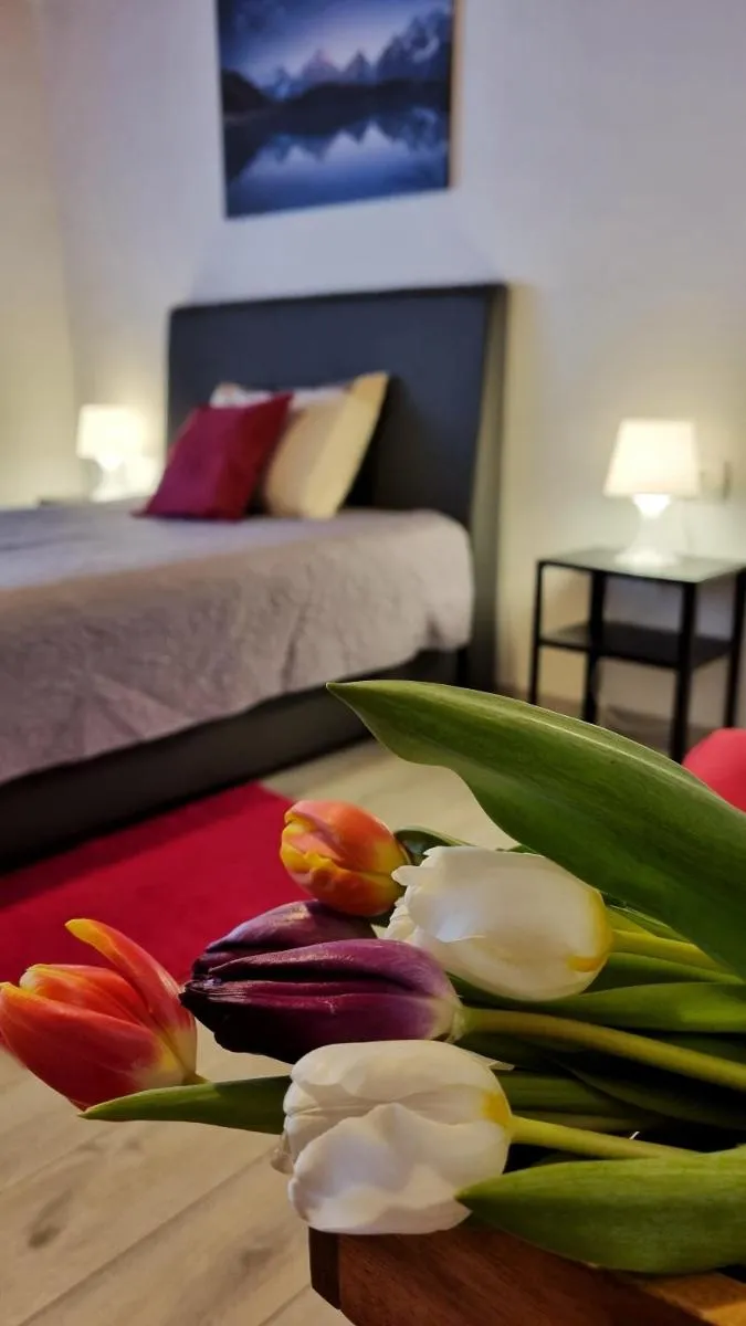 Image 3 of Apartment Stradun in the heart of Old City