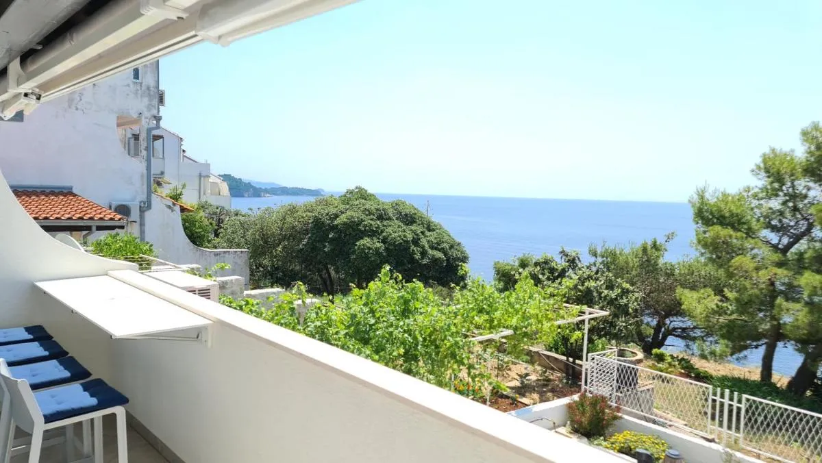 Image of Pearl Of Adriatic 4