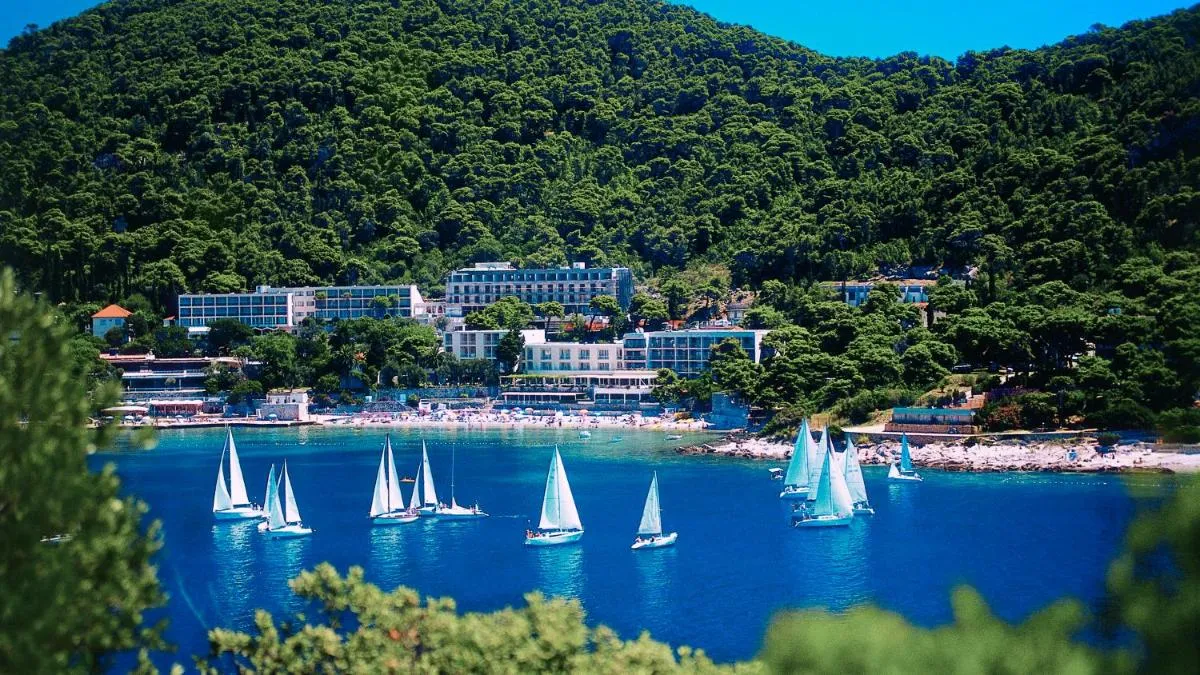 Image 4 of Hotel Vis