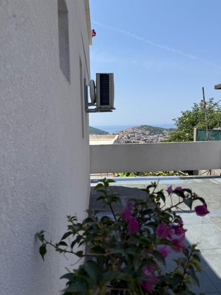 Image 2 of Antea