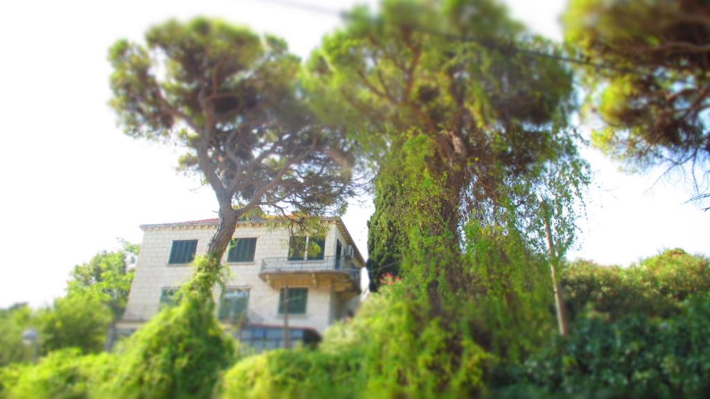 Image of Apartment Dubrovnik Surprise