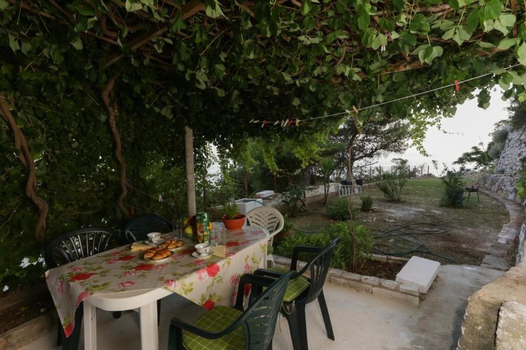 Image 3 of Apartment Edita