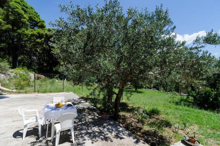 Image of Apartments & Rooms Tapera- Standard One Bedroom Apartment with Terrace and Garden View