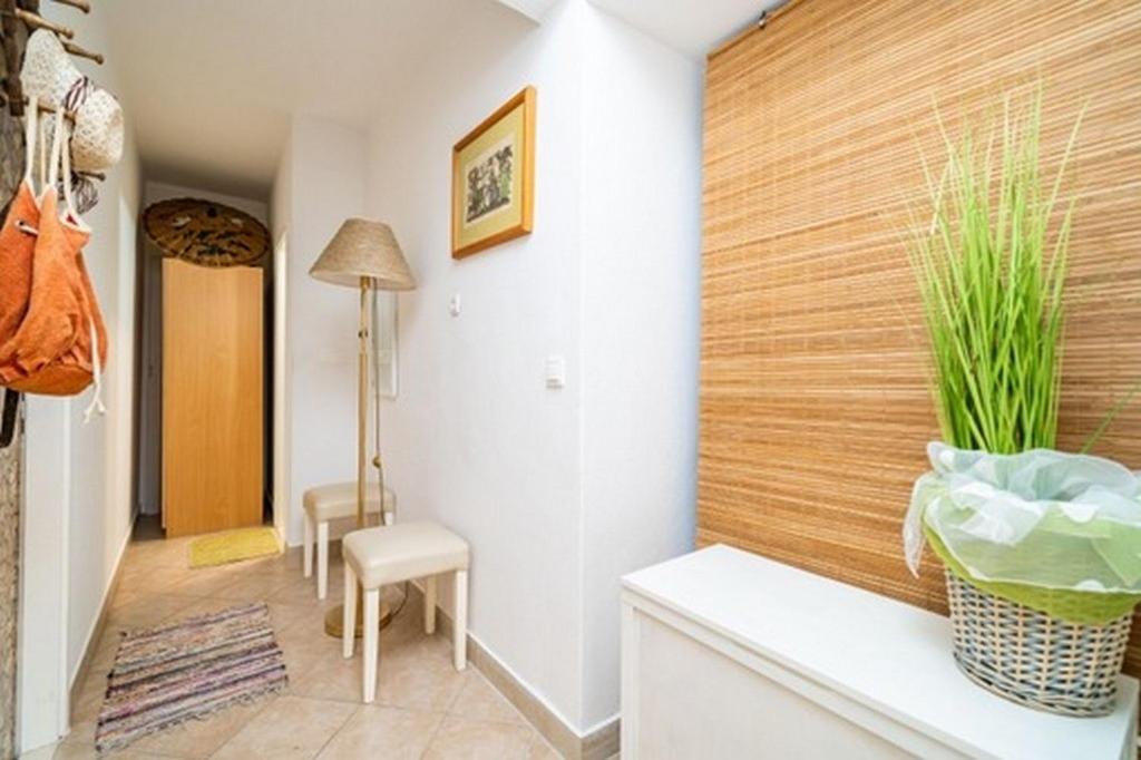 Image 2 of Apartments with parking spaces Buici, Dubrovnik – 24565