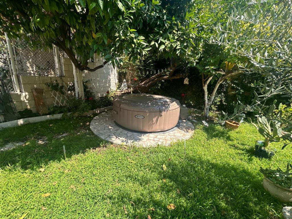 Image of Garden Antique with Bubble Spa