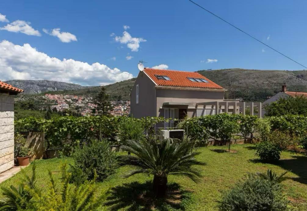 Image of LapaDream