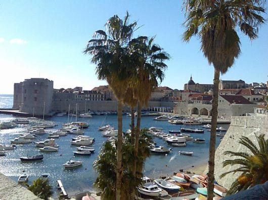 Image 5 of Serendipity DubrOvniK CentrE-Free parkinG