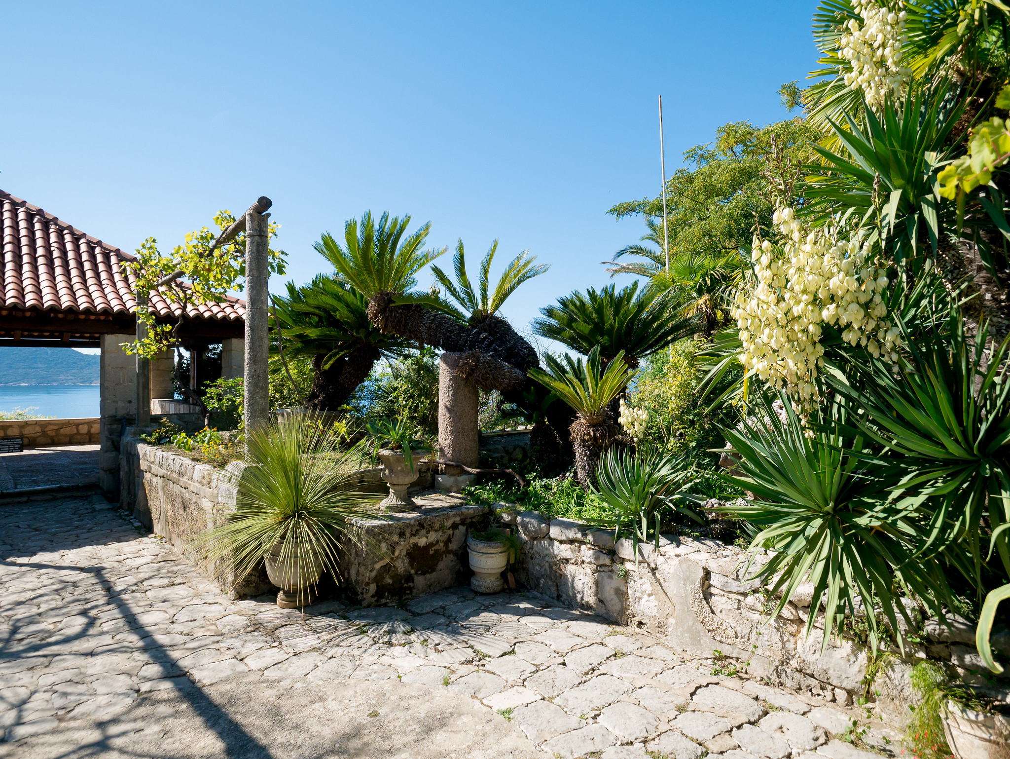 Trsteno Arboretum